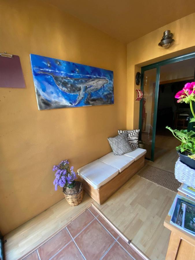 Casa Loureal Ribeira Sacra Оренсе Экстерьер фото